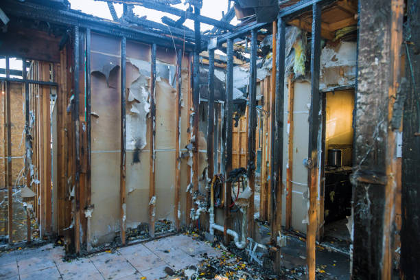 Professional Fire Damage Removal technician working in Steele Creek, AK